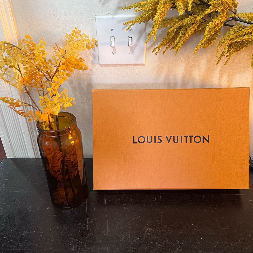 Louis Vuitton Box and Bag